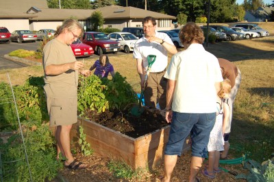 St. Mark Community Garden Potato Harvest
