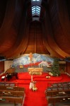 christmas shot with skylights