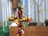Cross of flowers, Easter Sunday, 2011