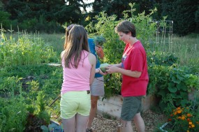 garden41