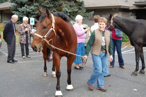 Blessing of the Animals - even horses!
