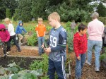 Chaos during Sunday School in the Community Garden