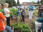 Identifying vegetables in the St. Mark Community Garden
