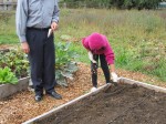 Planting Spring Bulbs during Sunday School