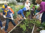 Kids exploring the garden during Sunday School