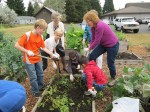 Harvesting Potatoes during Sunday School class