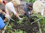 Parable of the Sower Sunday School class September 2011