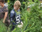 picking tomatoes during Sunday School