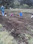 LITTLE Children help with Potato Harvest!