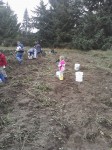 Children help at the 2011 St. Mark Community Garden potato harvest