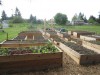 St. Mark Community Garden new raised beds