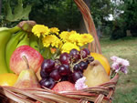 Thanksgiving Baskets