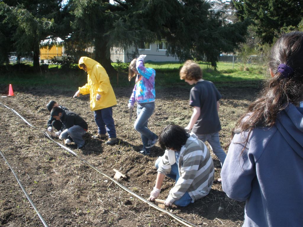 Mt. View Elementary kids planting potatoes