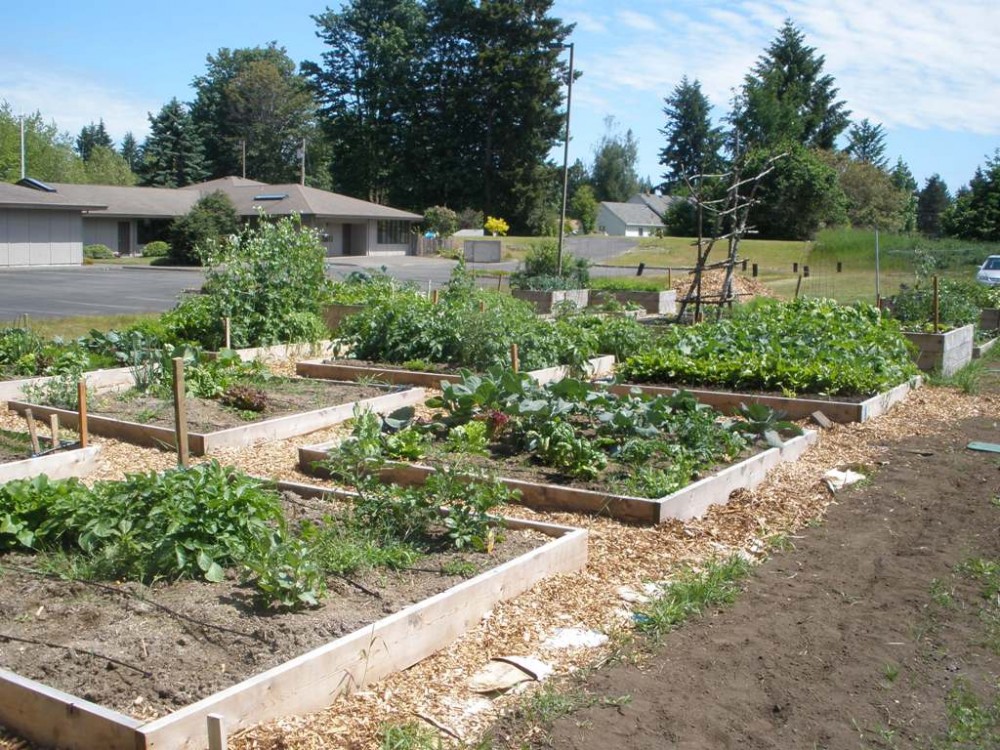 St. Mark Community Garden June 17, 2011