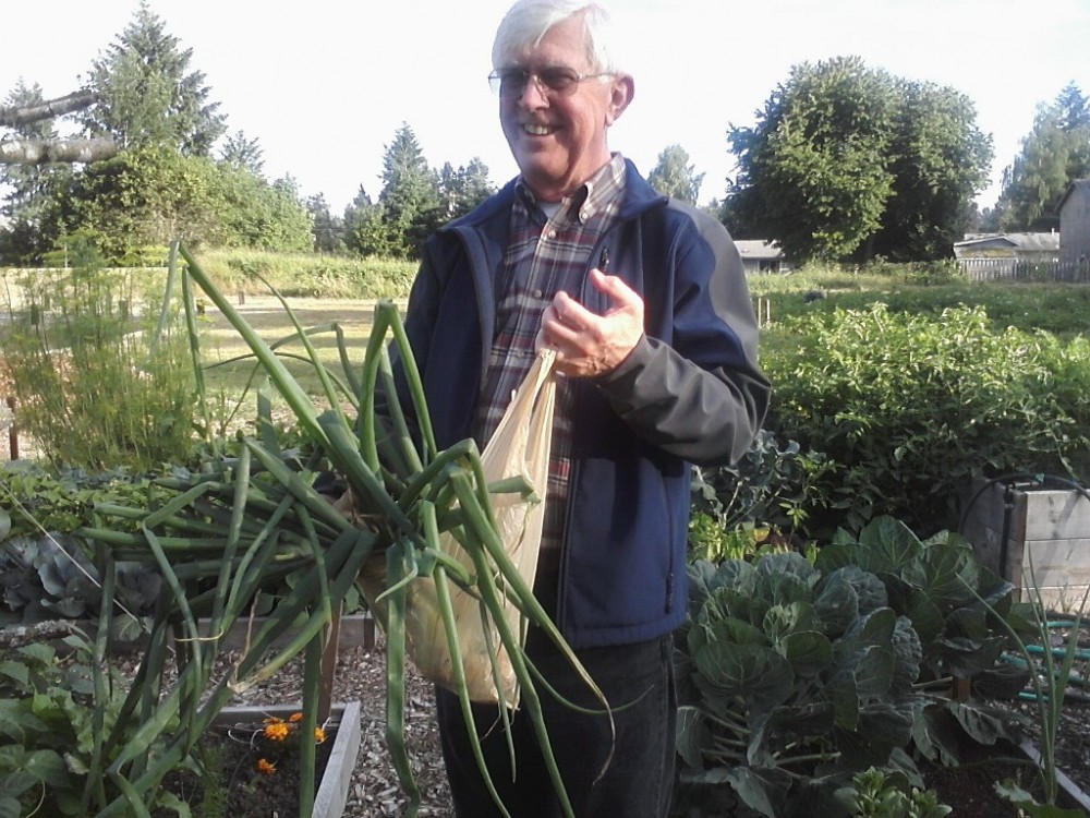 garden harvest at Feed n Weed July 20, 2011