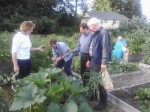 St. Mark Community Garden Feed n Weed July 20, 2011