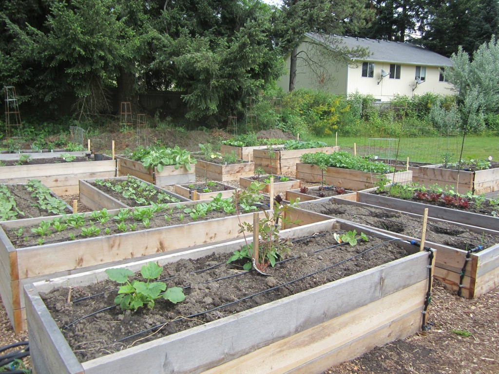 20 new beds on the north end of the garden