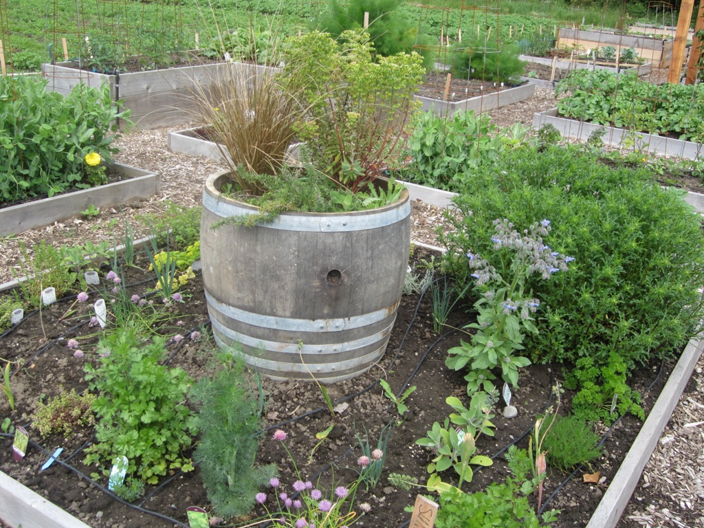 Herb garden planted by Sunday School children