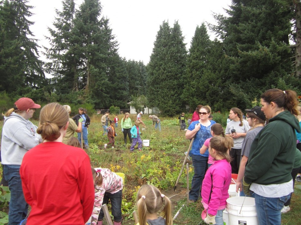 St. Mark Community Garden potato harvest September 22, 2012